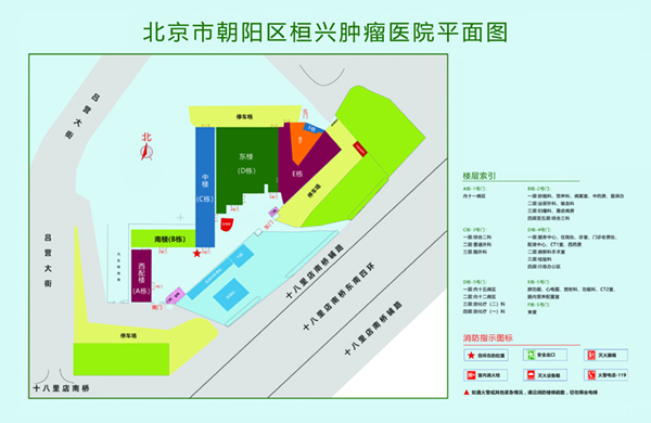 嗷嗷嗷操逼视频北京市朝阳区桓兴肿瘤医院平面图